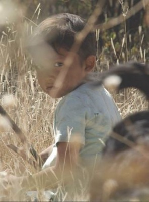 Hijo de Sicario